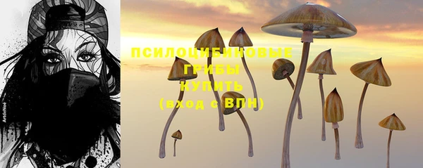 спиды Армянск